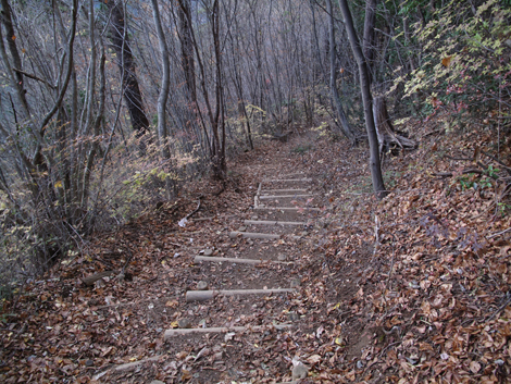 20171116hike (333)
